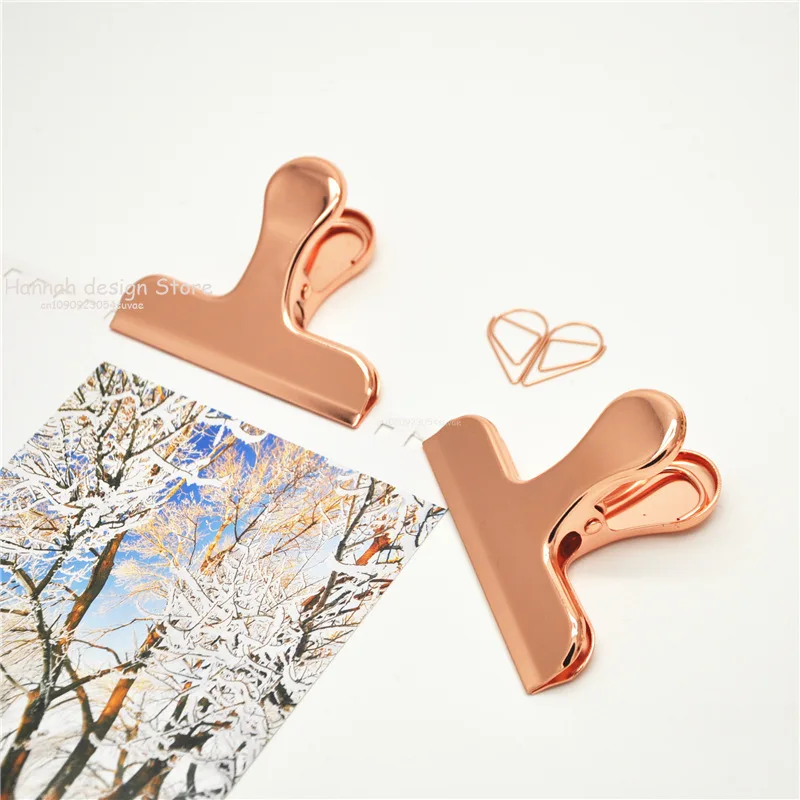 Рисунок 4 - Красивые весенние зажимы