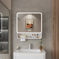 Aluminum Alloy Bathroom Mirror Cabinet Smart Makeup Mirror with Lights  Anti-Fog Wall-Mounted Vanity Cabinet Storage Mirror