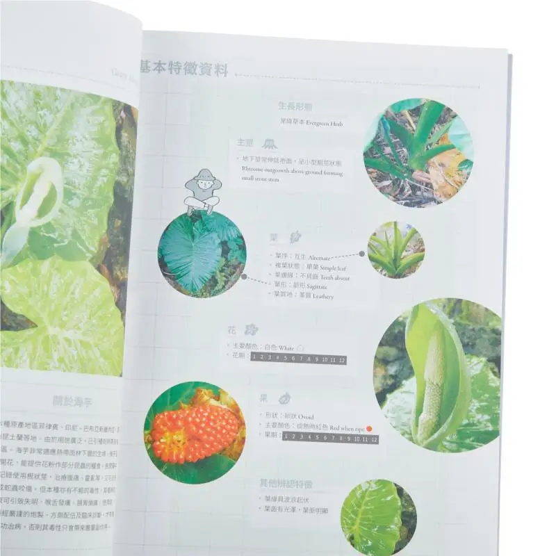 Hong Kong Four Seasons Colors Botany Around Us Set Liu Dawei Wang Tianxing Wu Xinniang 9789882373051