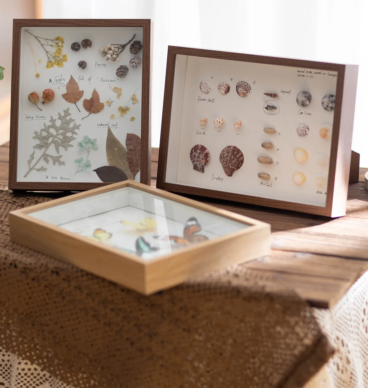 dried flowers/seashell display stand photo frame DIY handmade gift preserved flowers specimen frame