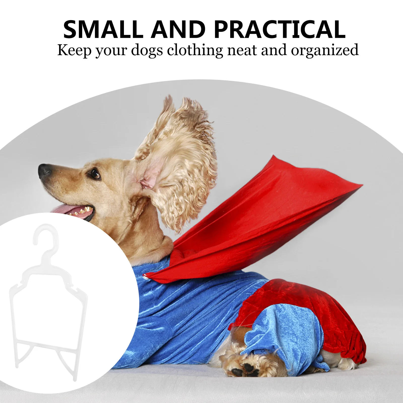 

10Pcs Pet Clothes Hangers Lightweight PP Dog Clothing Holders Handy Organizer for Pet Apparel Storage Dog Clothes Hangers