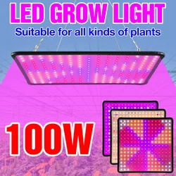 Full Spectrum LED Grow Light Quantum Board Indoor Greenhouse Flower Seeds Vegetable Hydroponic Cultivation Growth Box Plant Lamp