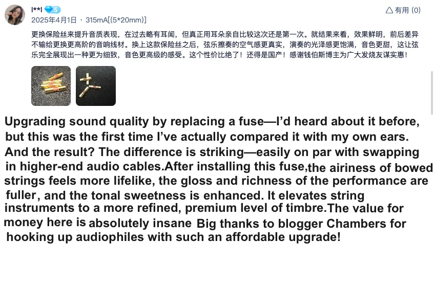 1 stücke FFHAS High-end-HIFI 7N Reinem Silber Sicherung CD Audio Verstärker Rohr Amp Sicherung Träge Sicherung – Detail 4