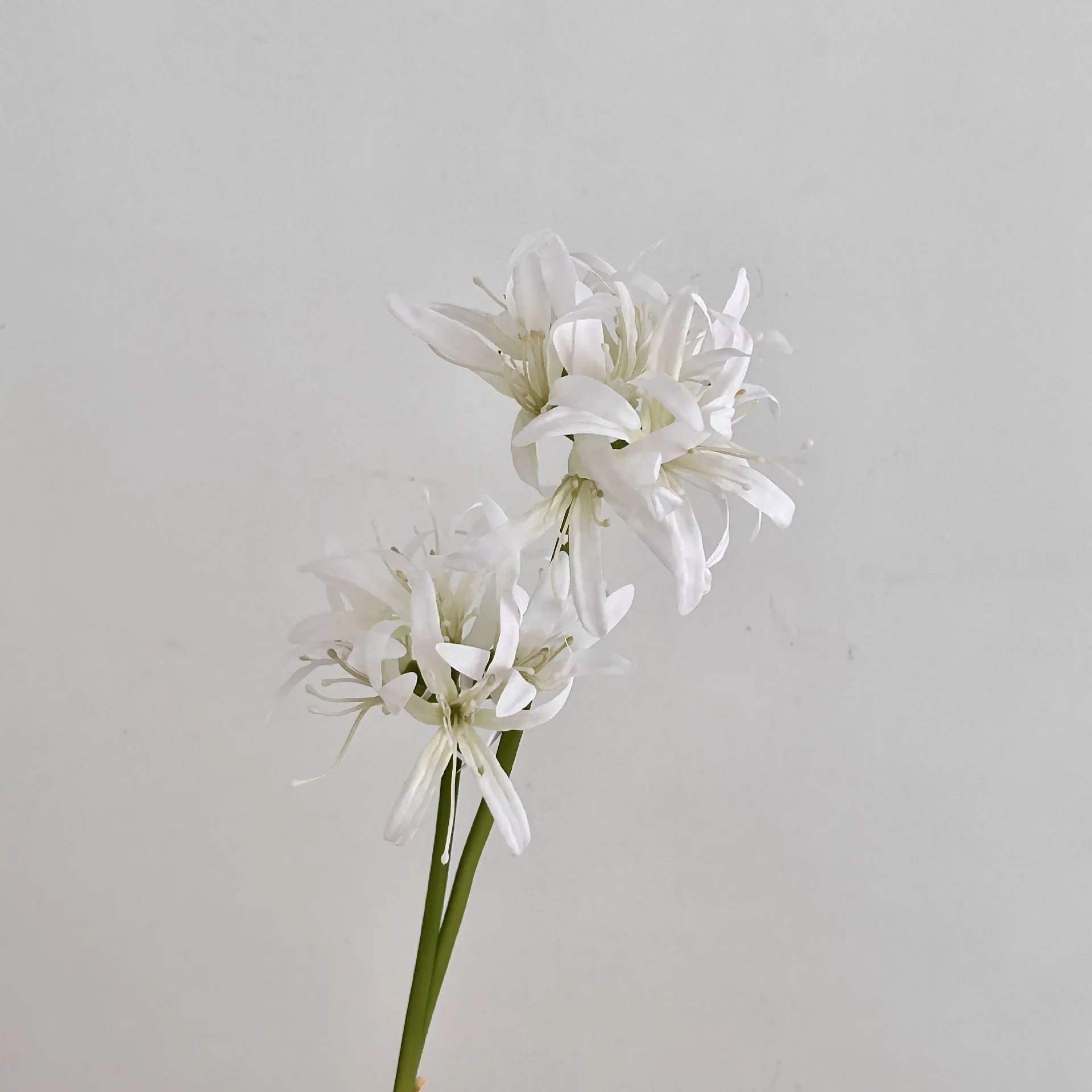 19.7 بوصة زهور الزنبق العنكبوتية الحمراء الاصطناعية لديكور مكان الزفاف Hanfu التصوير الدعامة