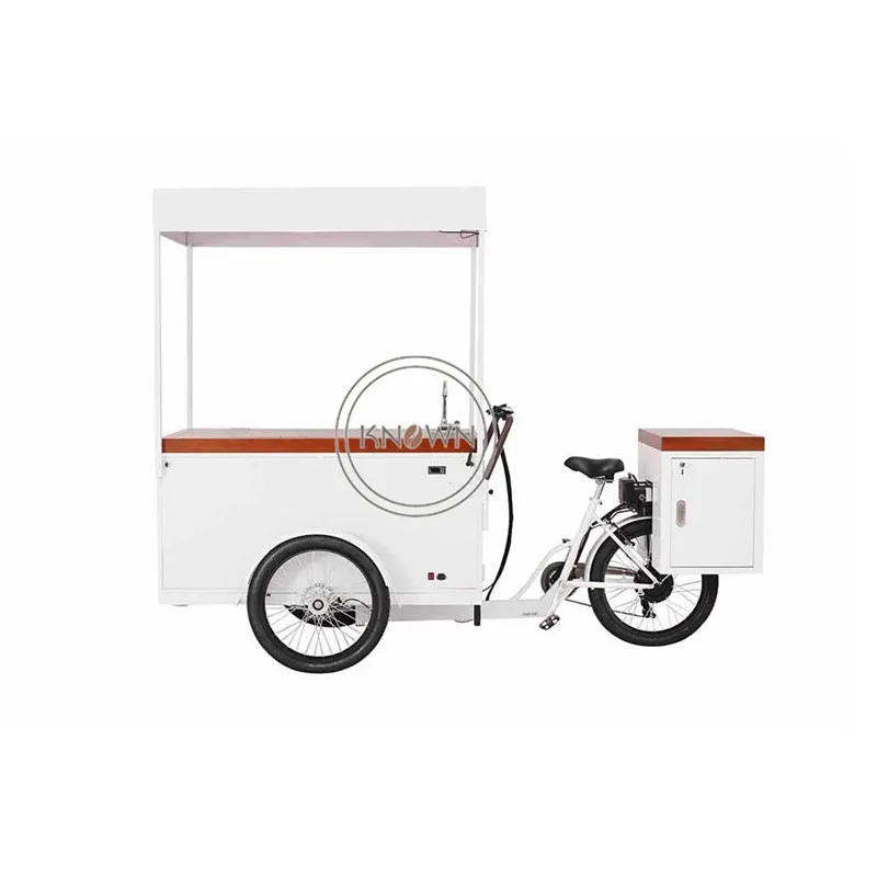 Street Mobile Coffee Hot Dog Freezer Food Cart Adult Tricycle Three Wheels Outdoor Cargo Bike Family