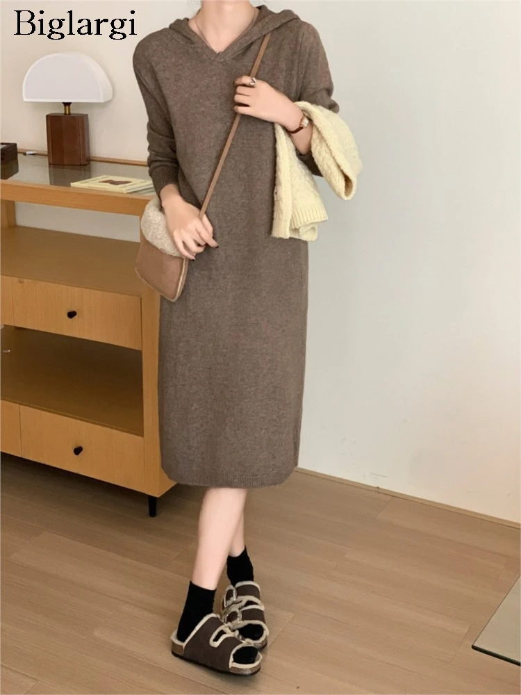 

Knitted Autumn Hooded Long Dress Women Casual Fashion Loose Korean Style Ladies Dresses Long Sleeve Woman Dress