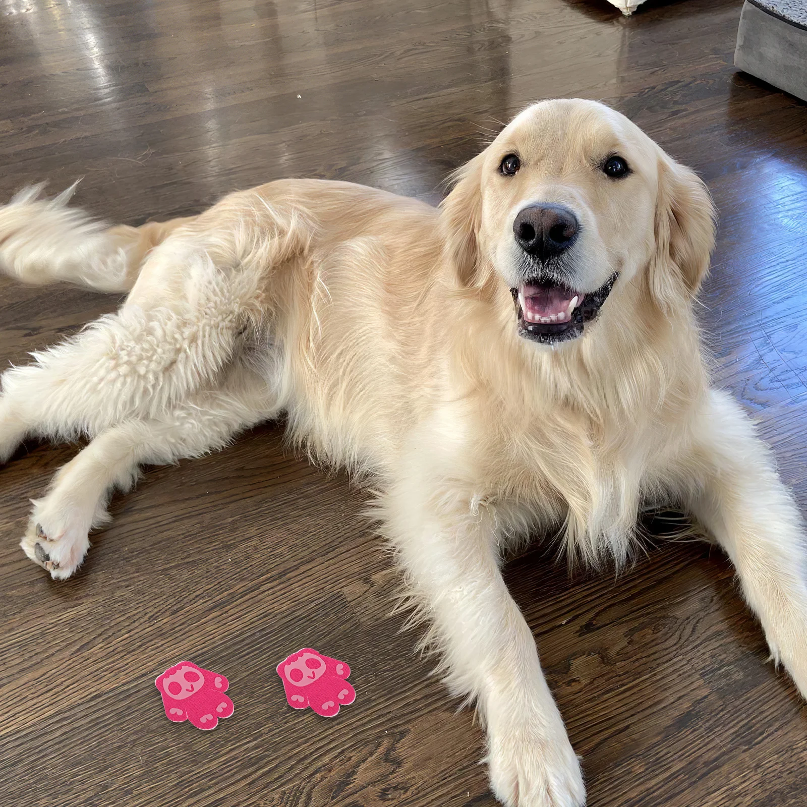 

Waterproof Pet Anti Slip Paw Pads Non Slip Shoes for Dogs Cats Durable Easy to Use Soft Comfortable Pet Protection