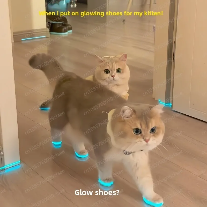 Glowing Cat Shoes Pet Dog Shoes Whistle Luminous Toys Night Photo Accessories for Cat Dress Up