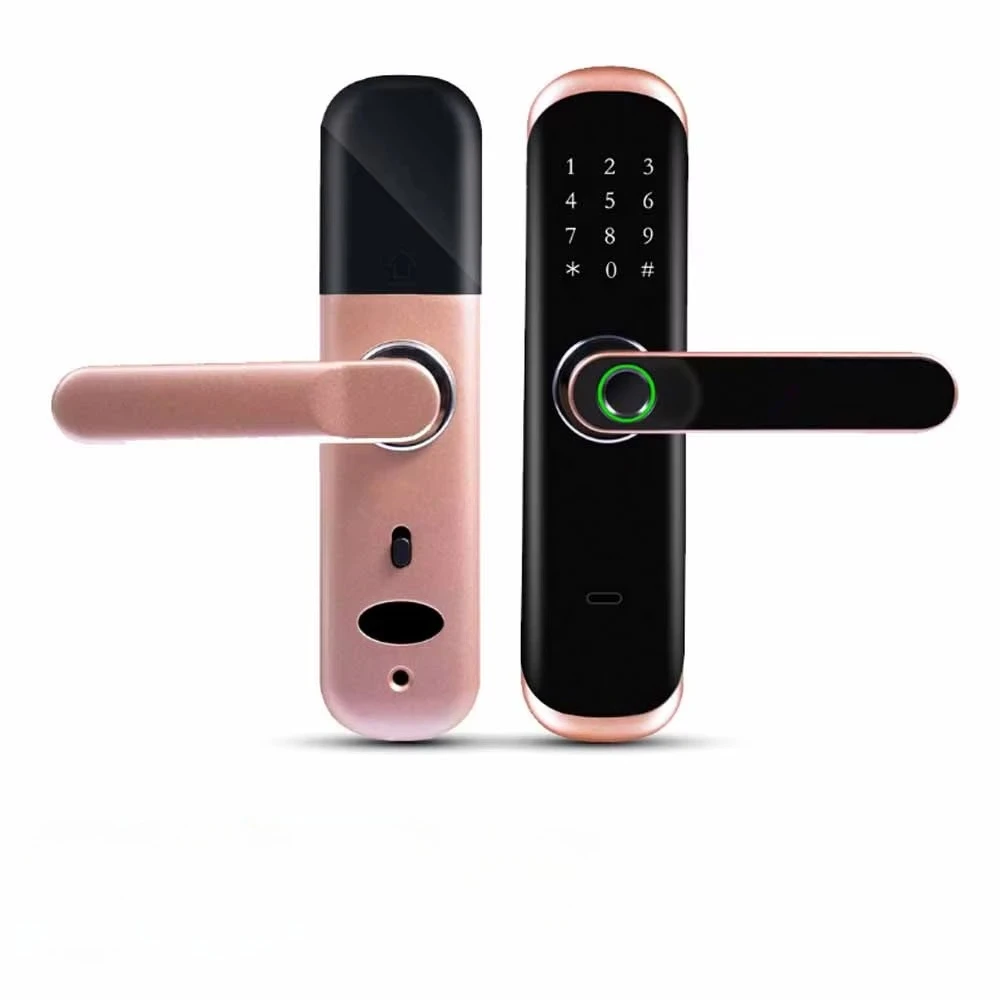 Smart Fingerprint Password Door Lock Handle Biometric Tuya App Entry Lock Keypad Touchscreen