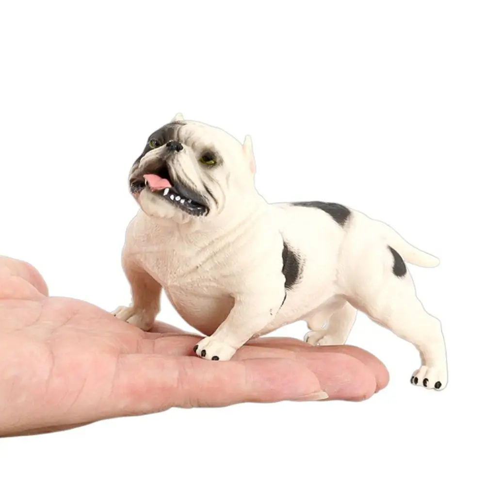 

Children Animal Model Bulldog Model Educational Ornaments Simulation Bulldog Solid Miniature Pitbull Figurine Home Decoration