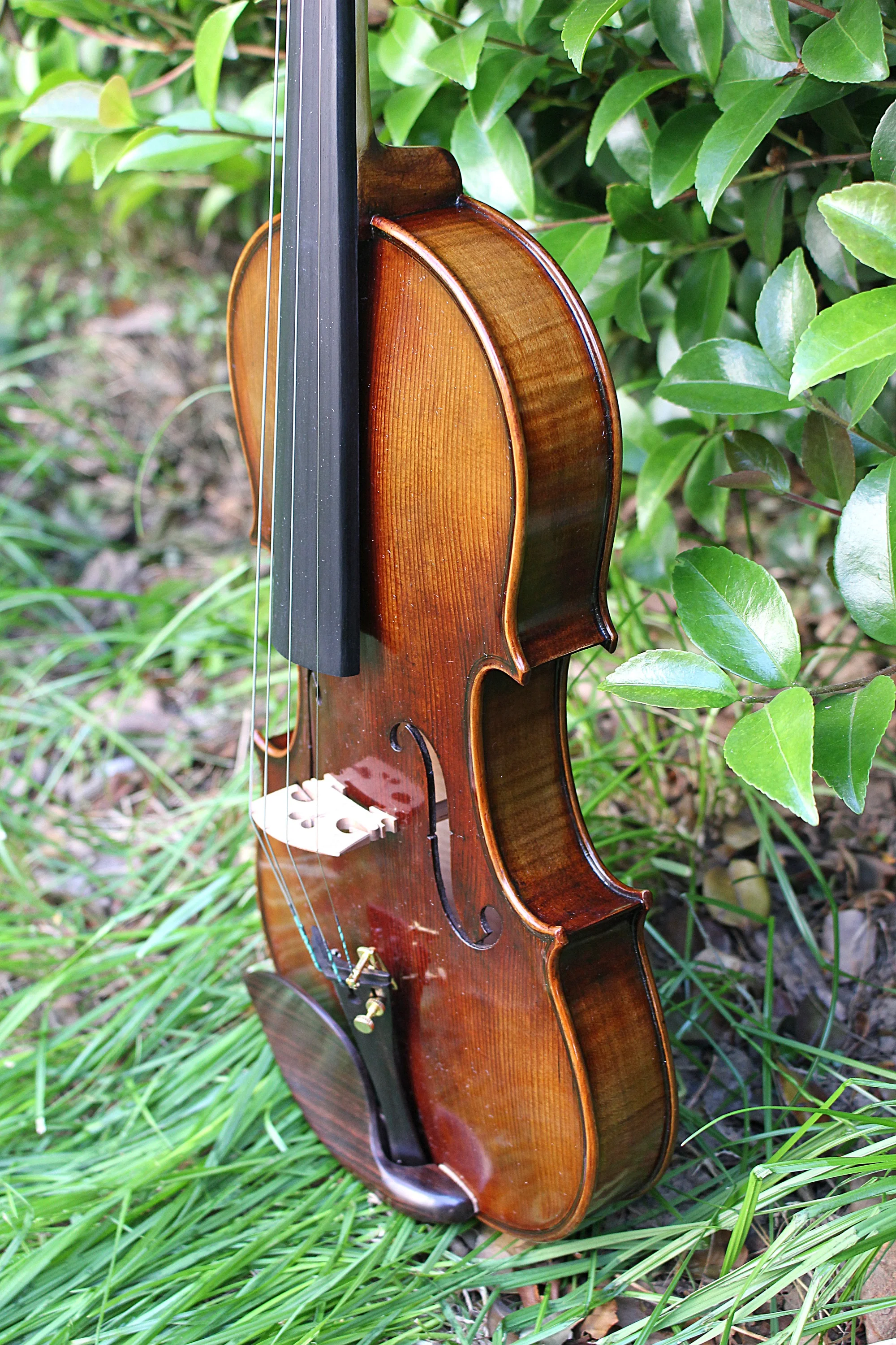 TONGLING Professional Top Master Violin 4/4 Size Handmade Oil Varnish & 20 Years Old European Spruce  Antique Violin