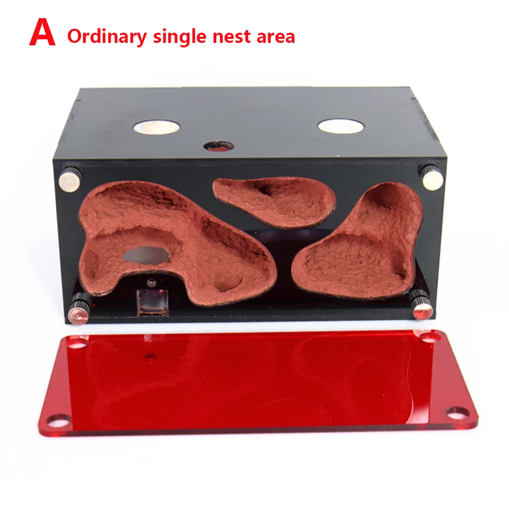 Acryl Mier Boerderij Temperatuurregeling Beton Mier Nest Oneindige Uitbreiding Insect Huis Kolonie Drinker Anthill Kit Accessoires
