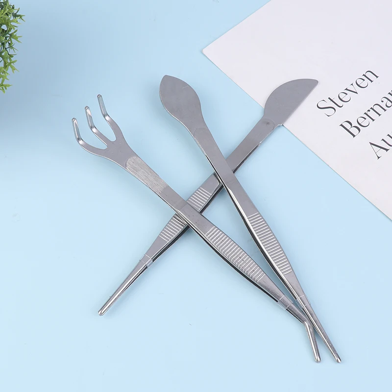 Rastrello per radici In acciaio inossidabile 304 2 In 1 con pinzette per Bonsai con manico ergonomico strumento per l'agricoltura del suolo per piante grasse Bonsai