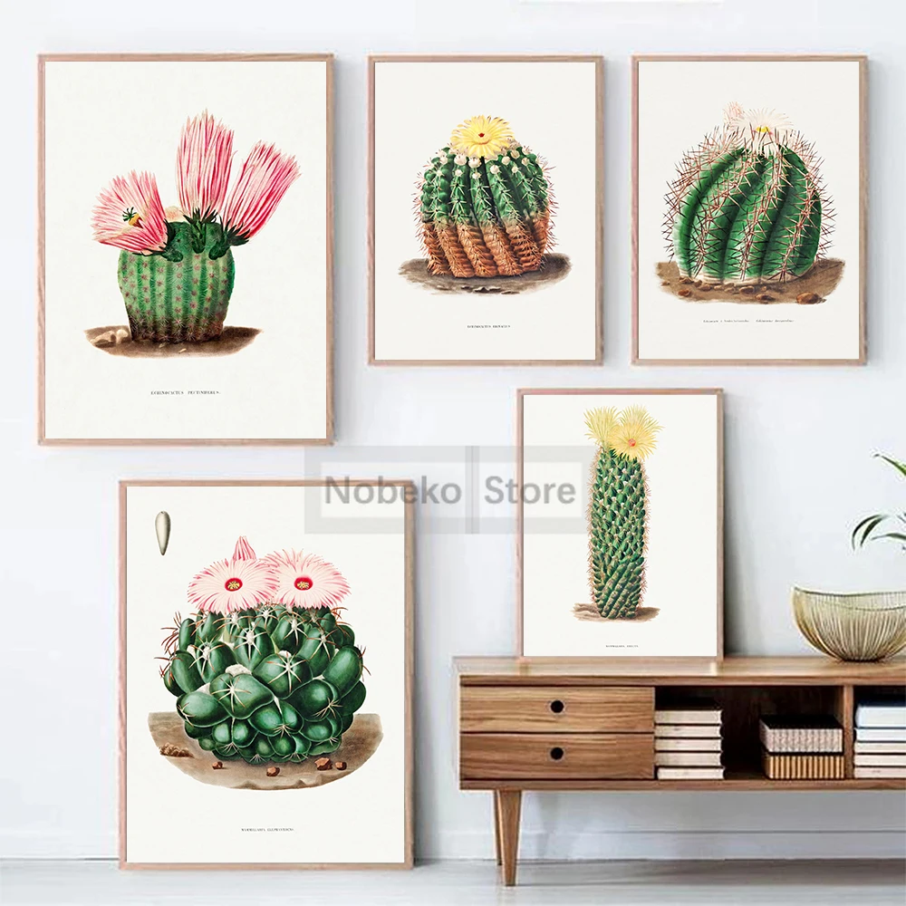 Cactus Botanical Flowers Vintage Poster Colorful Floral Prints Canvas Painting Wall Art Pictures Home Room Retro Antique Decor