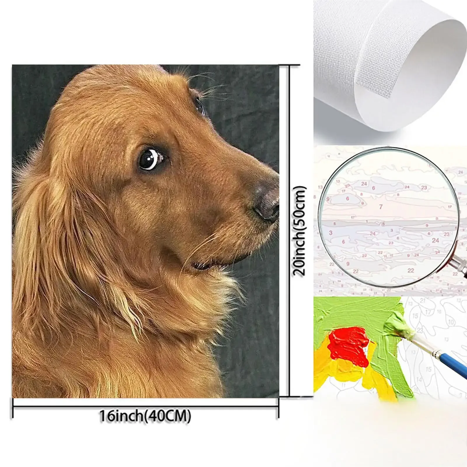 Professional Art Use 1pc Frameless Adult Digital Painting Kit, Cute Golden Retriever, Unlock Fun Painting Experience, Product In