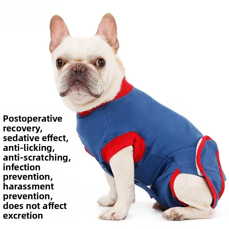 Dog Recovery Suit for Surgery, Anti Licking Wound Protection Clothes, Soft Pet Bodysuit for Spay Postoperative Care
