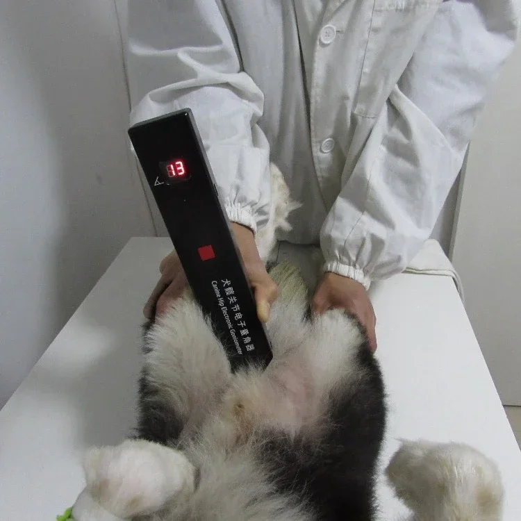 Hot-selling/Canine  Electronic Goniometer for CHD (canine  dysplasia) checking tools animal  instrument