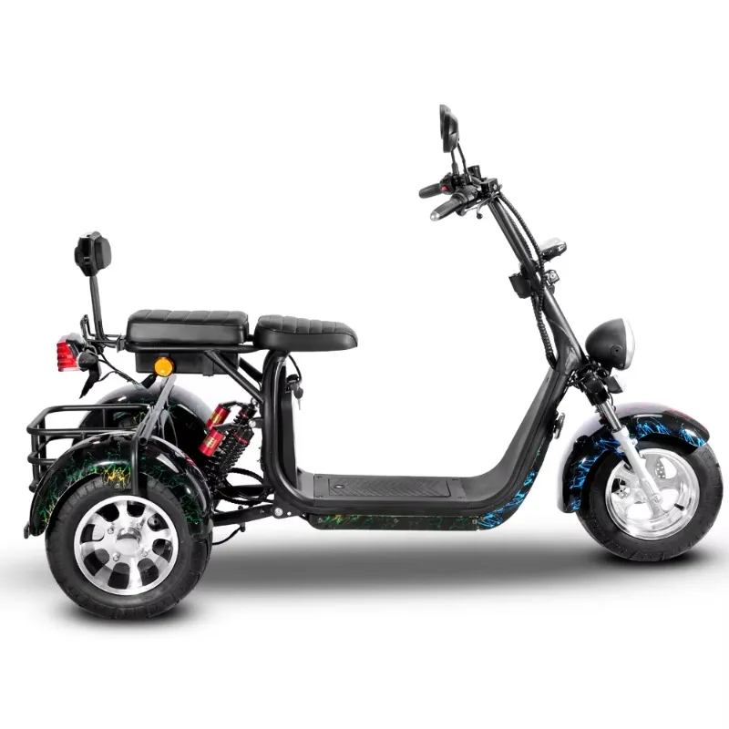 EEC COC Certified Tricycle 2000w Fat Tire Three Wheel Electric Mobility Scooter Trike 45km/h 60-70km Range 200kg Load Factory