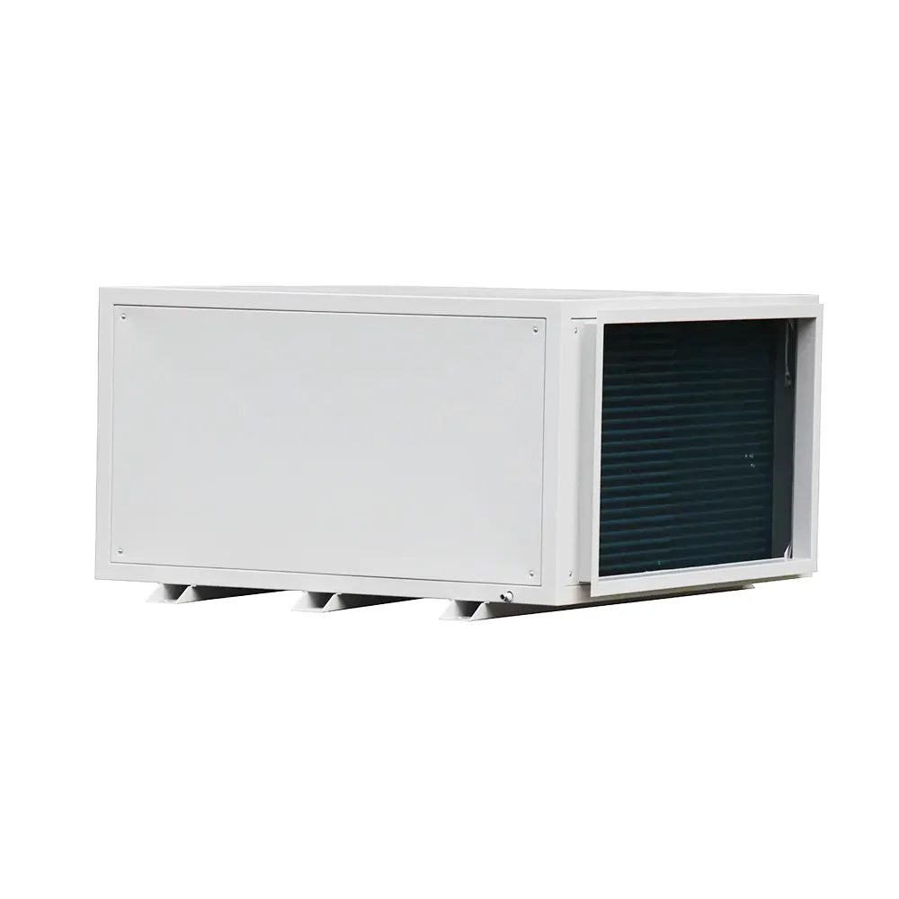 High-Capacity Dehumidifiers 20L to 90L for Indoor Swimming Pools, Warehouses, Homes & ATV UTV Storage