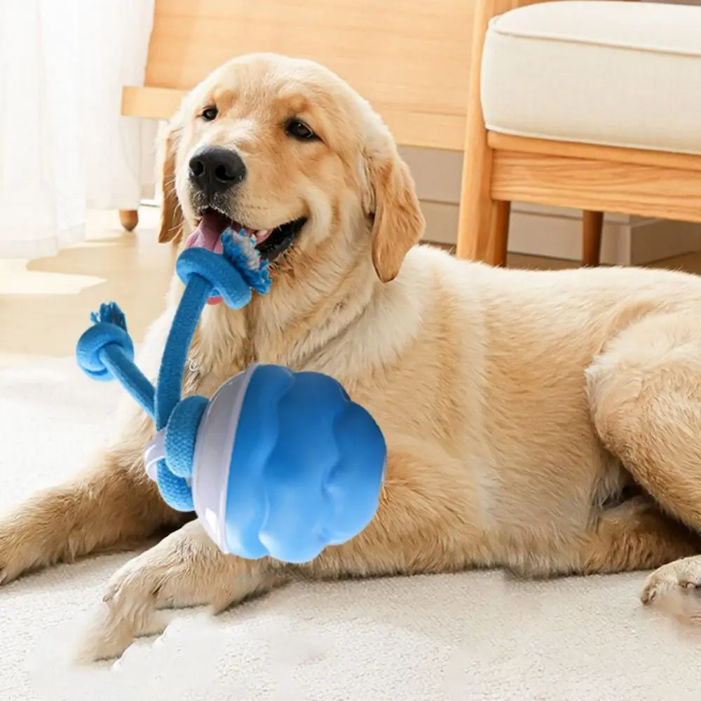 

Bite Resistant Electric Dog Toy Ball Automatic Bouncing LED Lighting Electric Jumping Ball Toy Dog Interactive Ball Dog Supplies