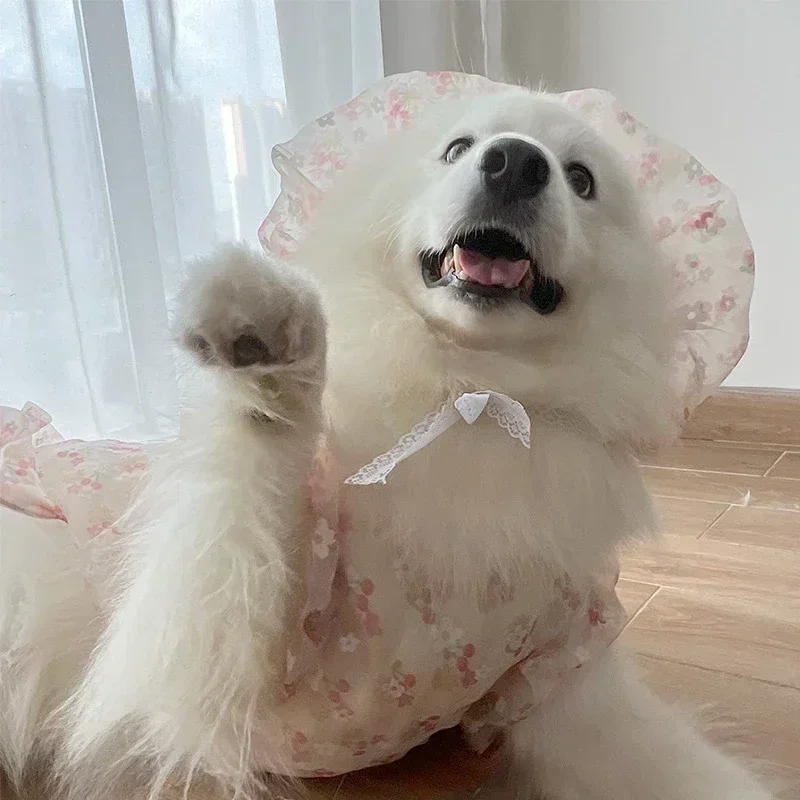 

Summer Dog Dress + Dog Hat Poodle Welsh Corgi Border Collie Samoyed Husky Labrador Golden Retriever Big Dog Clothes Pet Apparel