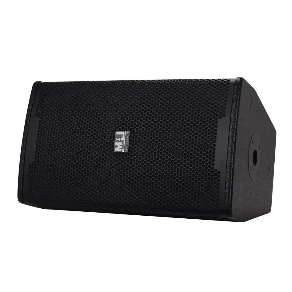 D201 12‑Inch 500W Wooden Passive PA Speaker Neodymium Magnet for Stage DJ Wedding Premium Professional Audio Applications - view 3