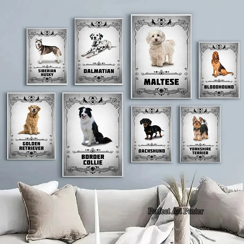 Dog Breeds Posters and Prints Animals Pet Border Collie Pomeranian Portraits Canvas Painting Wall Art Pictures Home Room Decor