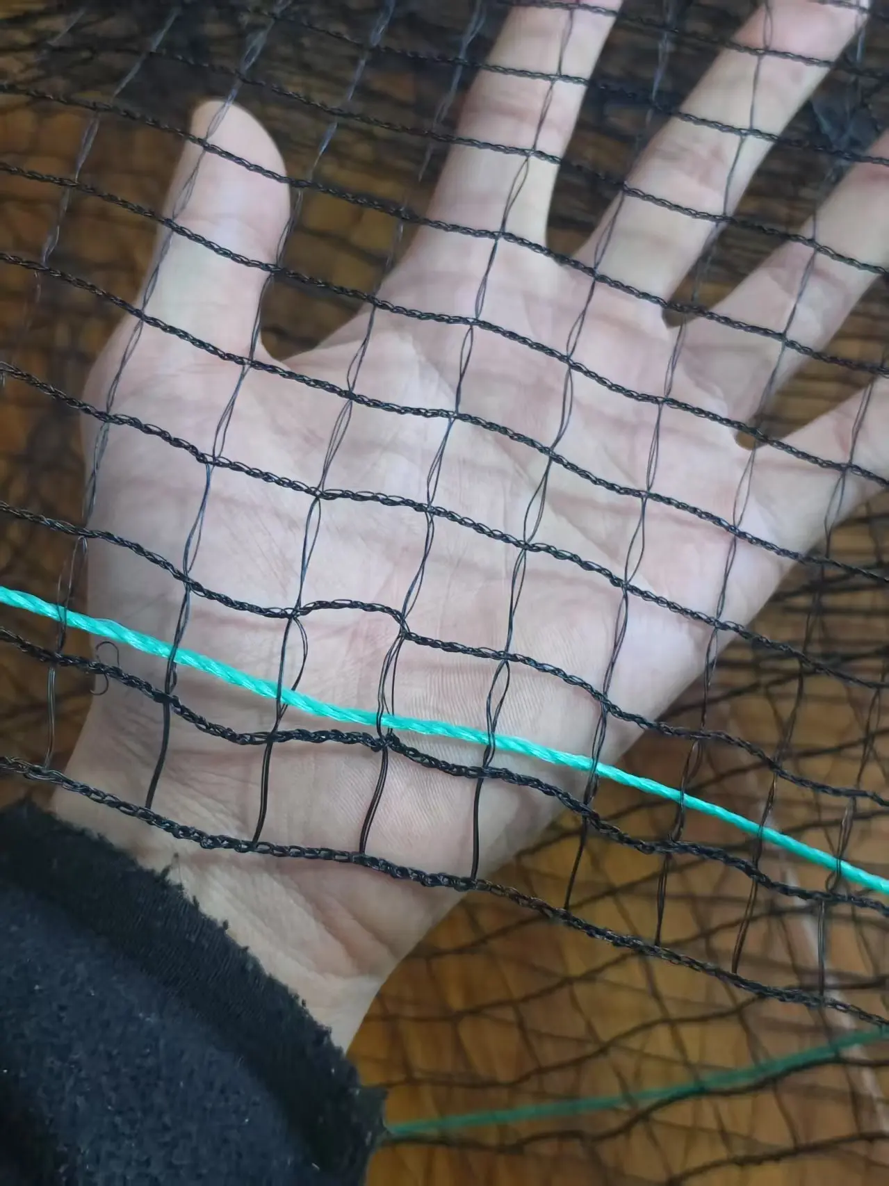 Custom Size and Color Anti-Bird Anti-Animal Nylon and Plastic Netting for Outdoor Crop/Farm/Garden Protection