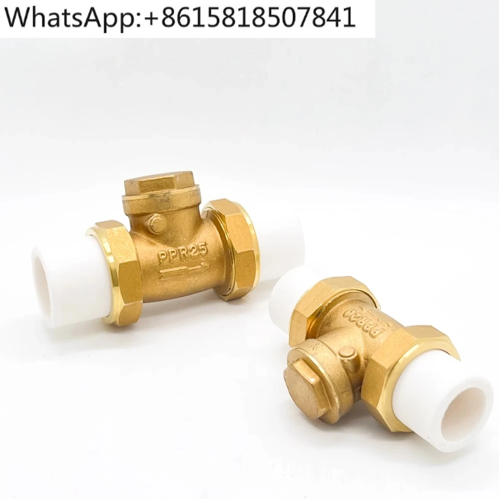 3PCS Copper Horizontal Vertical Double Hub Check Valve Reverse Check Water Pipe Gauge 4/6 points DN20/25/32