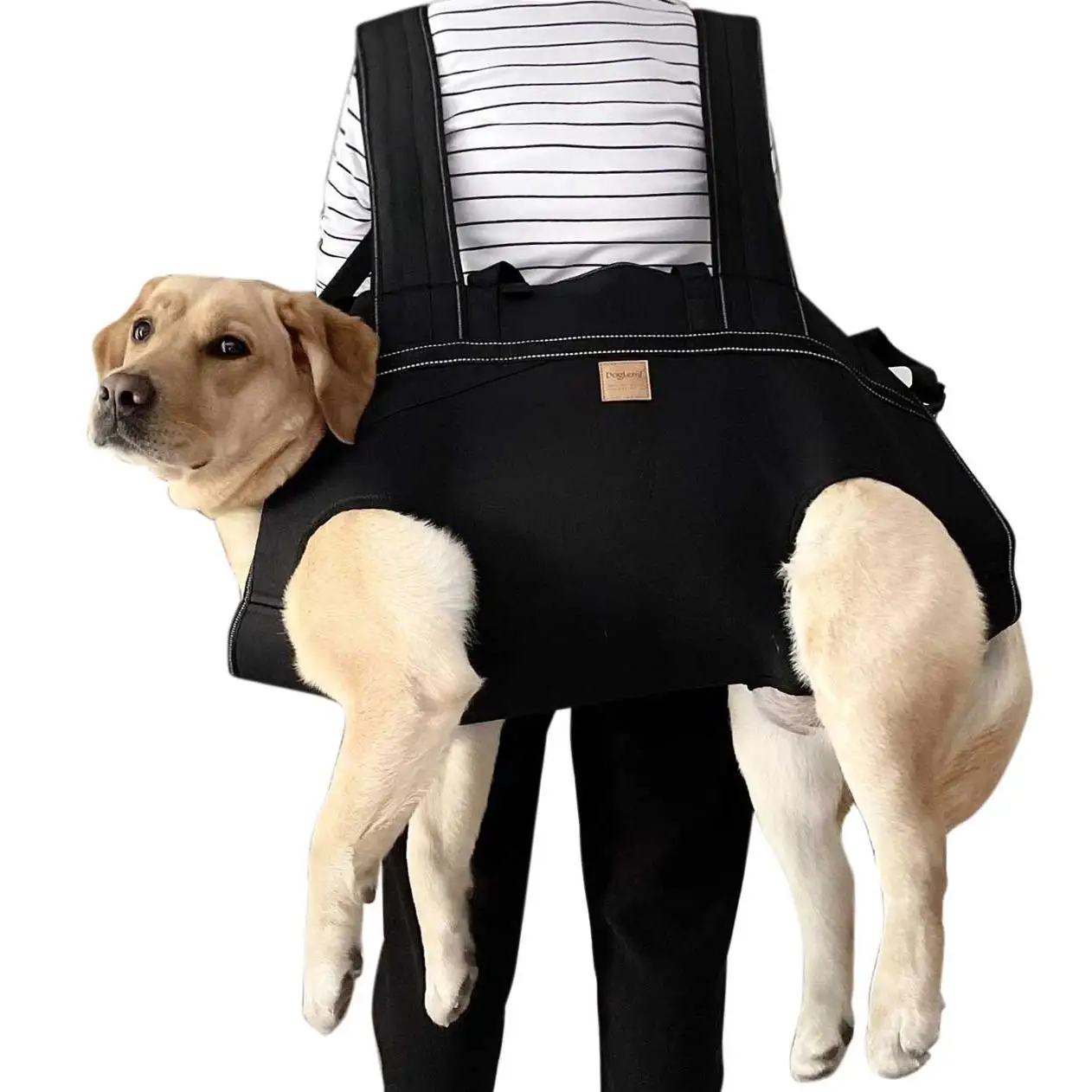 

Pet dog backpack Suitable for all-sized dogs Multi-functional outdoor bag Walker stretcher Disability assistance dog backpack