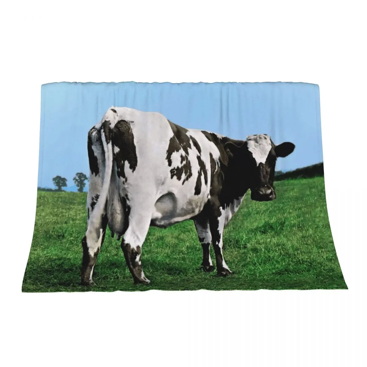 

Atom Heart Mother (HQ) Throw Blanket bed plaid Designers Blankets Sofas Of Decoration Cute Plaid Blankets