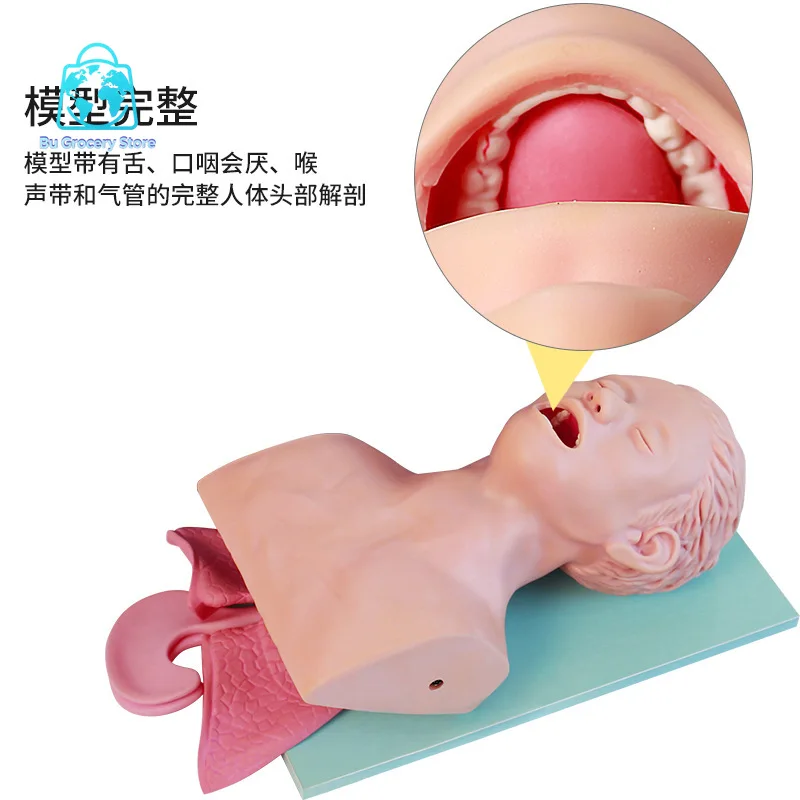 Adult Airway Management Trainer Tracheal Train Simulator Model 220V 110V Oral Nasal Intubation Manikin Teach