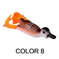 Color 8