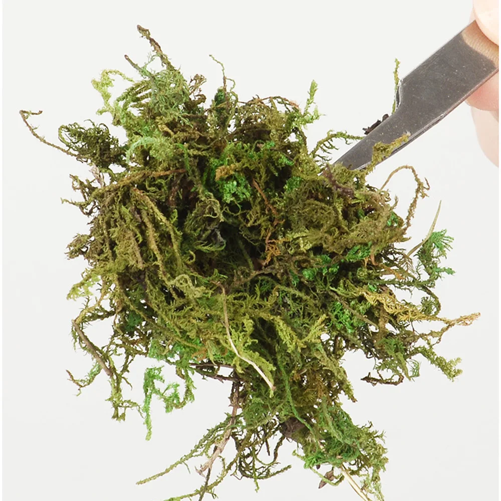 20g Simulation Dried Green Moss Model DIY Building Sand Table Wargame Platform Terrain Grass Layout Materials Diorama Accessory