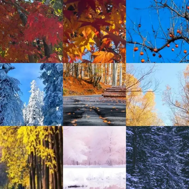 

20mm Smart Tally Counter Bluetooth-compatible 5.1 5 Prayer Time Smart Ring 0.49 Inch OLED Display Vibration Reminder for Muslims