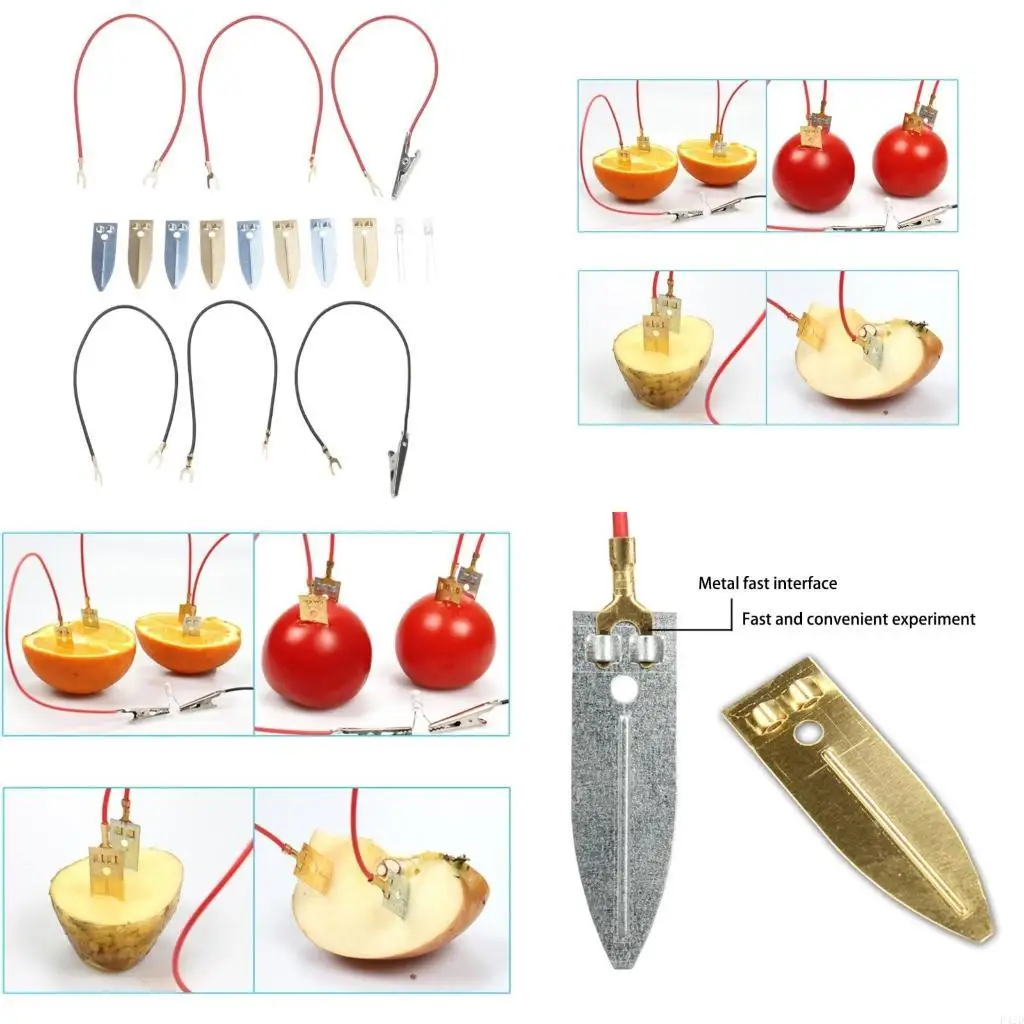 

F42D Fruit Power Generation Experiment Set Hands on Assembly Toy Kids Learning Toy for School Classroom Teaching