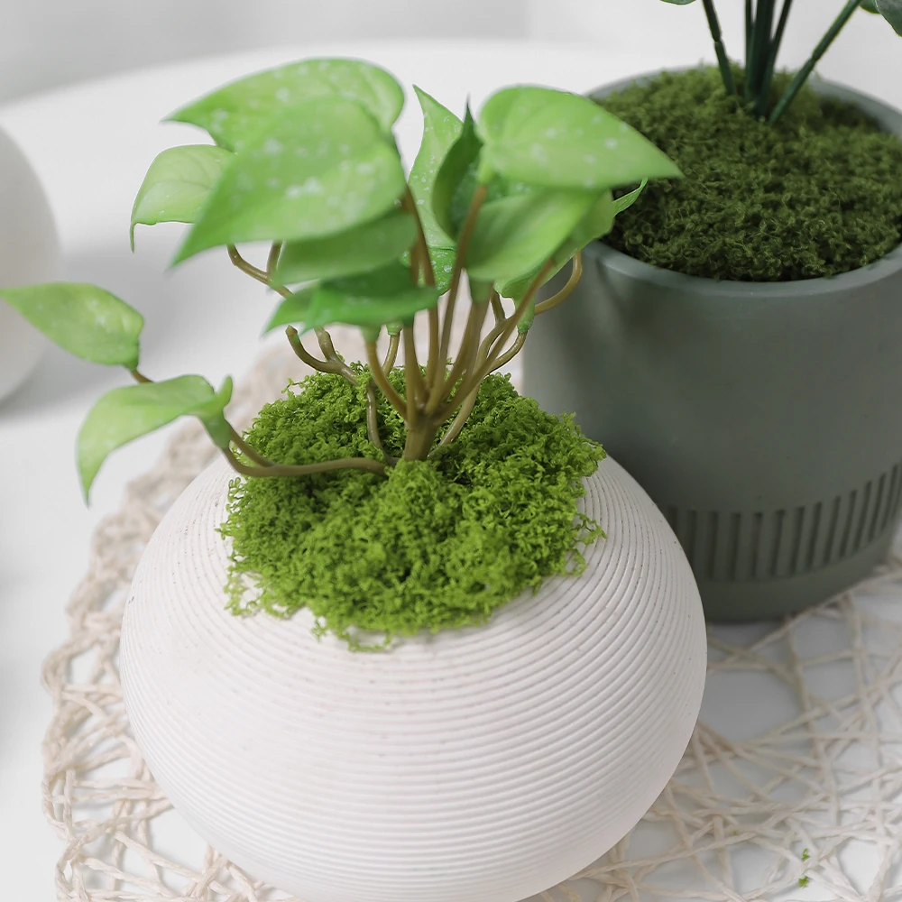 30/50/100G Grüne Künstliche Pflanzen Moos Gras für Home Room Decor Garten Dekoration Mini Landschaft Gefälschte blume Handwerk Ornament – Detail 8