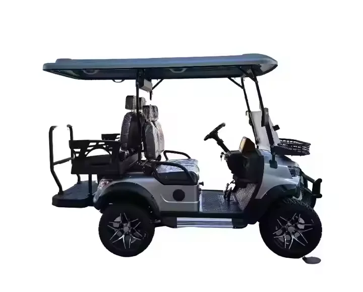 Electric 6-Seat Touring Motorcycle Eco-Friendly Club Car for Resorts & Parks Holladay 500W