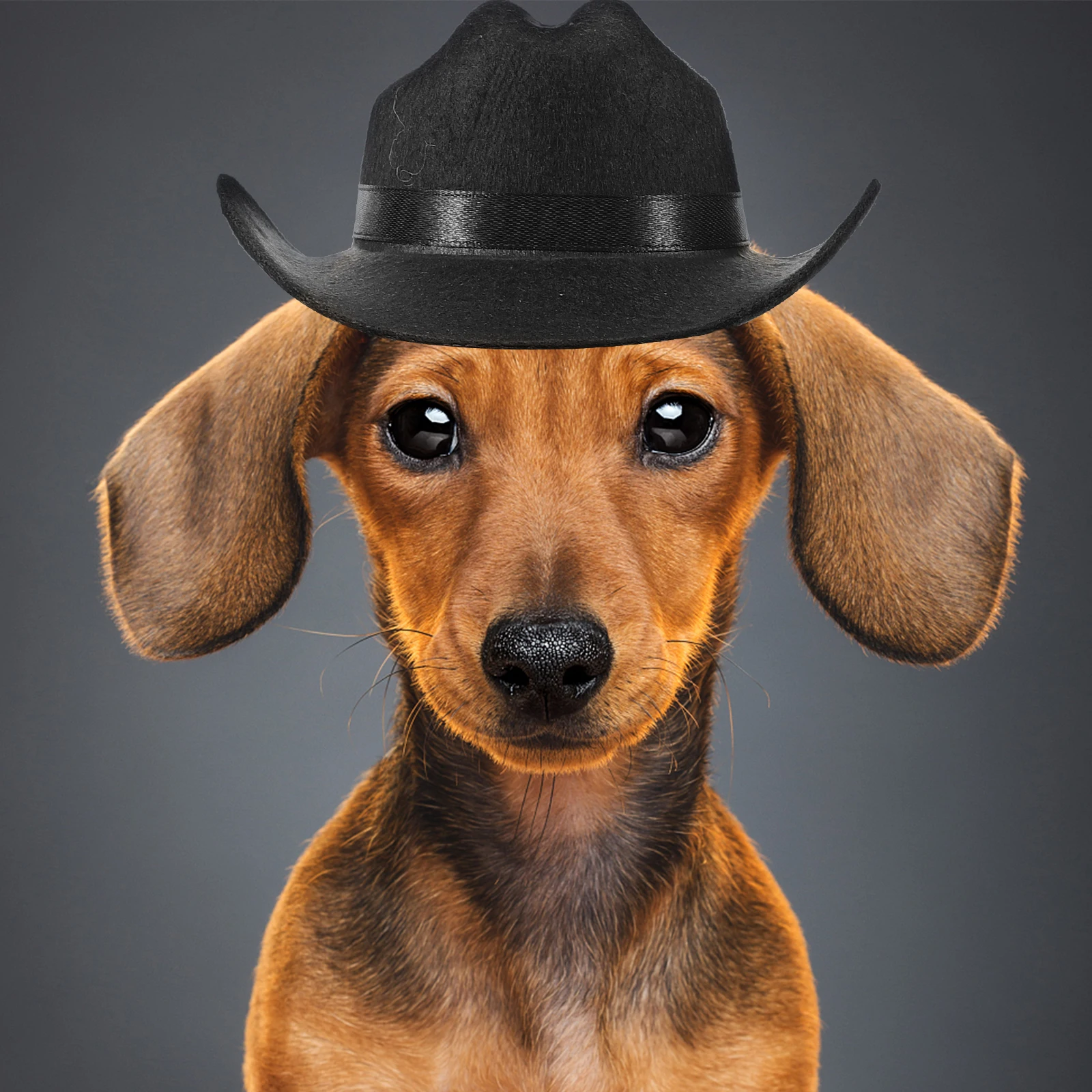 

Pet Western Cowboy Hat For Dogs Cats Adjustable Party Costume Cap Festival Accessory Dog Hat Pet Supplies Mini Hats