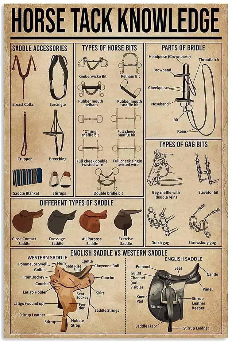 

Horse Tack Knowledge Metal Signs Wall Decor Cowboy Guide Posters Farm Club Decor Home Decor Plaque 8x12 Inches