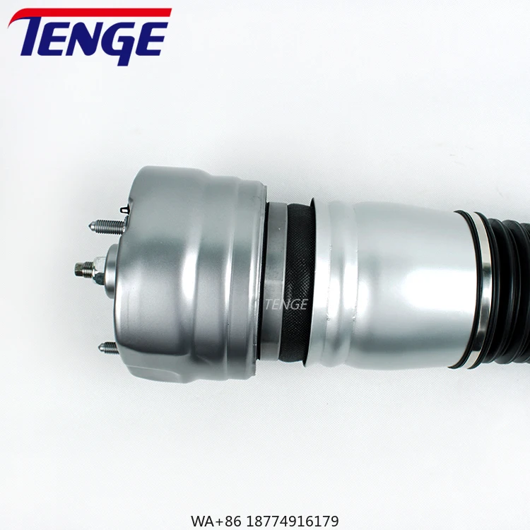 Tenge Front Left/Right Air Suspension Shock Absorber Strut Buffer Strut for   OEM 97034305215