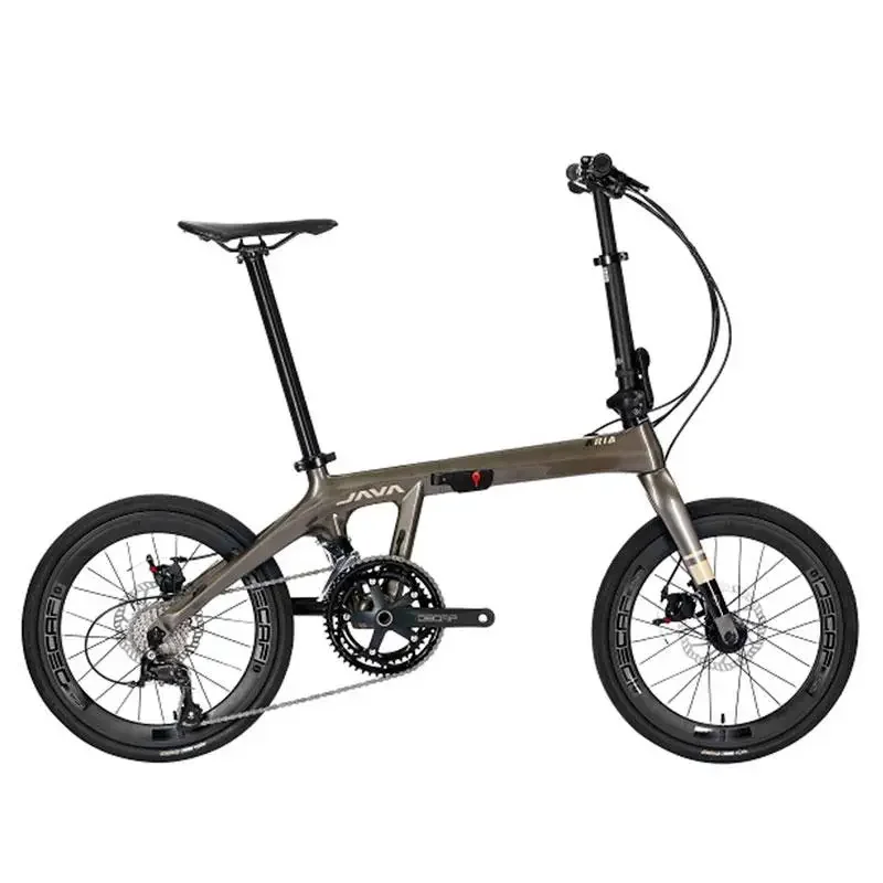 Carbon Fiber Folding Bike 18 Speed 20 Inch Pull Wire Hydraulic Disc Brake