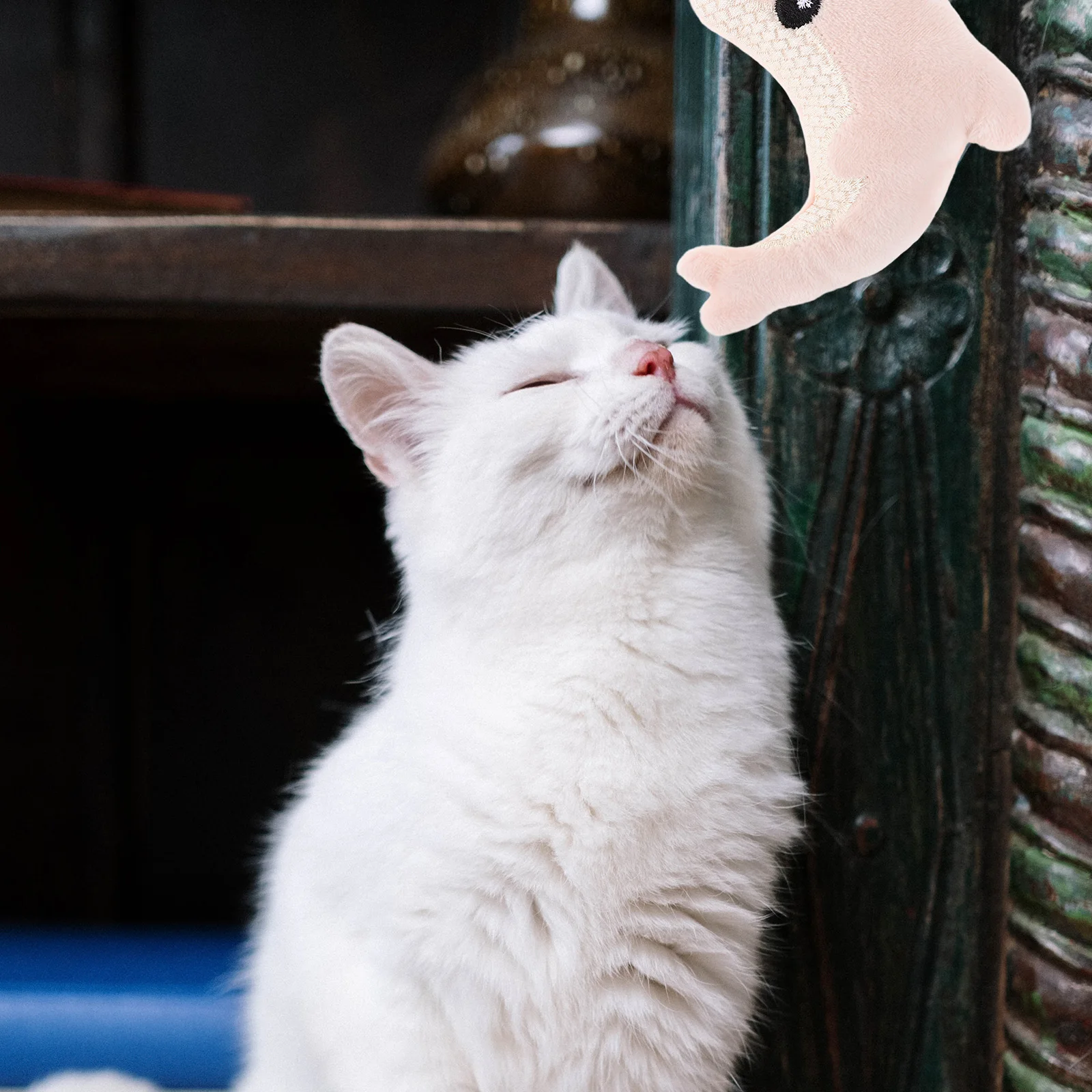 

3Pcs Ocean Animal Kitten Play Set Adorable Dolphin-Like Soft Fabric for Furniture Protection Interactive Indoor