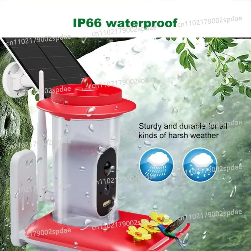 Solar Powered Smart Bird Feeder With HD Night Vision Camera Two Way Audio APP Motion Alert Notification