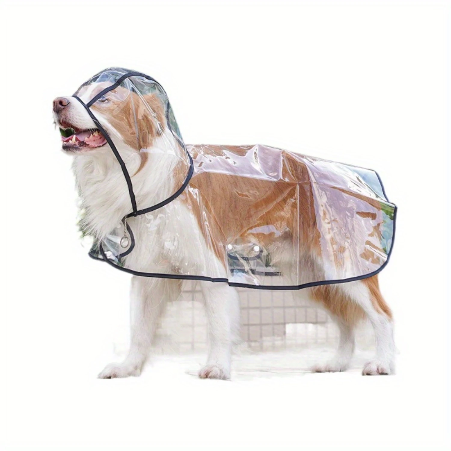 Big Dog Transparent Outgoing Raincoat for Golden Hair Labrador & Border Collie