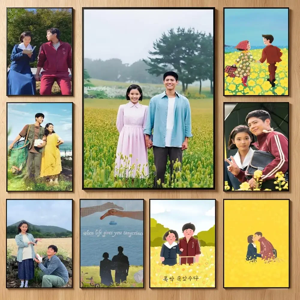 Warm Dramaseries W-When Life Gives You Tangerines Poster Classic Self-Adhesive PP Wall Sticker for Living Room Bar Decor Gift