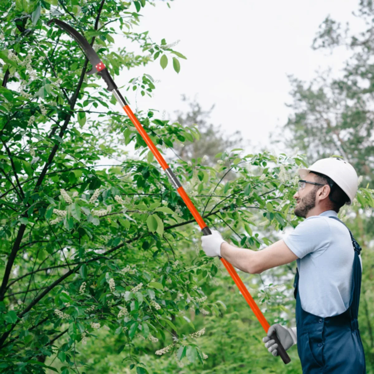 

26ft Manual Pole Saw Hand Tools Pruner Long Handle Pruner Set High Branch Trimmer Fruit Tree Home Garden Pruning Tool