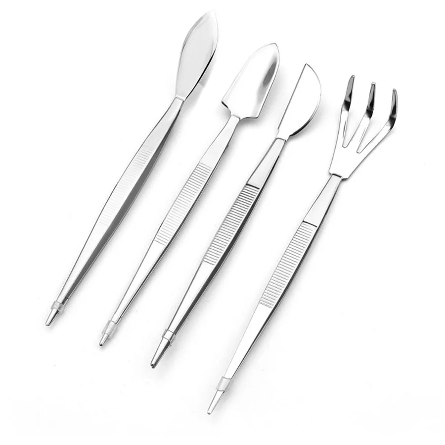 2-in-1 304 Stainless Steel Professional Root Rake with Bonsai Tweezers Soil Farming Tool Fleshy Tweezers for Succulents Crafting