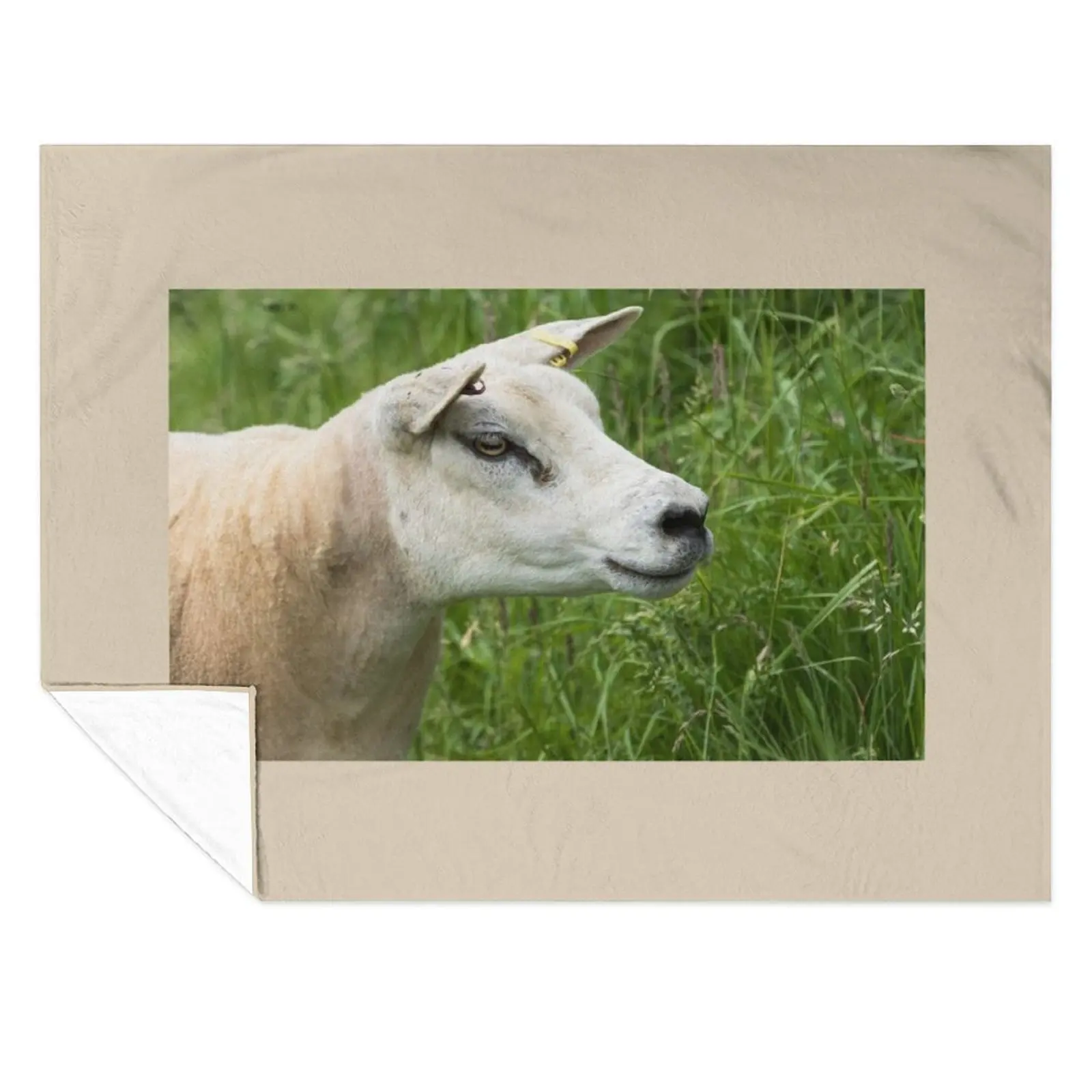 

Texel Sheep Throw Blanket Designers Thin Softest Decorative Sofa Blankets