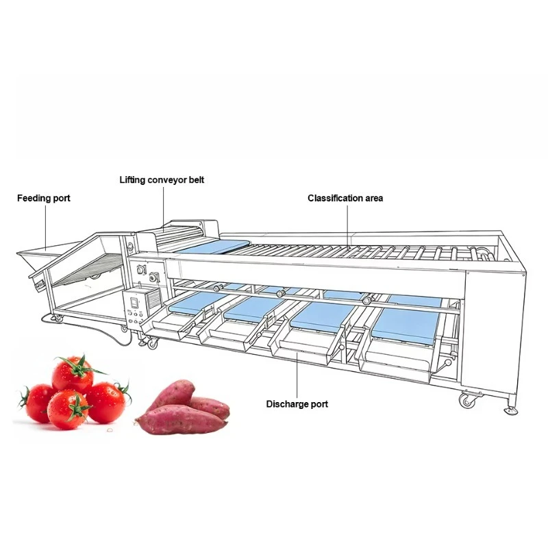 Automatic Chilli Cherry Citrus Size Grader Farm Applicable Vegetable and Fruit Processing Line Sorting Machine